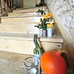 Pensión Manoir De Malagorse Cuzance