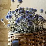 Manoir De Malagorse Pensión