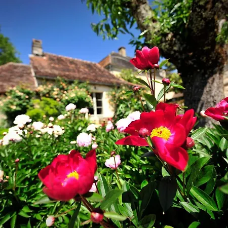 Manoir De Malagorse Cuzance