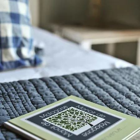 Manoir De Malagorse ゲストハウス