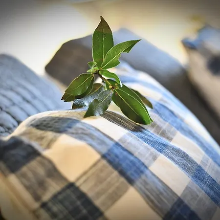 Manoir De Malagorse ゲストハウス 4*