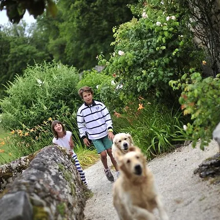 ゲストハウス Manoir De Malagorse Cuzance