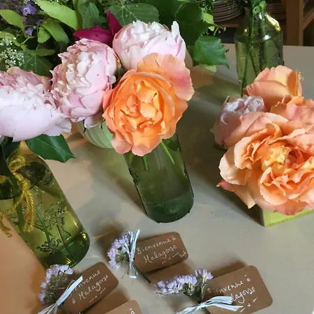 ゲストハウス Manoir De Malagorse