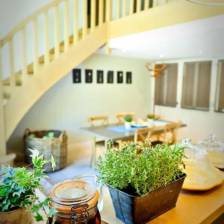 Manoir De Malagorse Cuzance