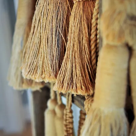 Manoir De Malagorse Vendégház Cuzance